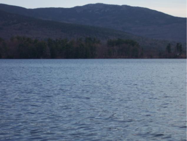 Dublin Pond